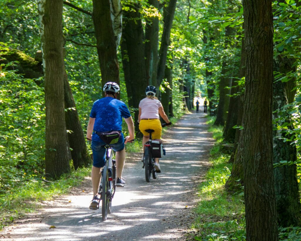 couple à vélo sur un chemin entouré d'arbre