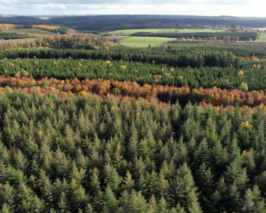 le domaine d'oisefagne et sa forêt vue du ciel