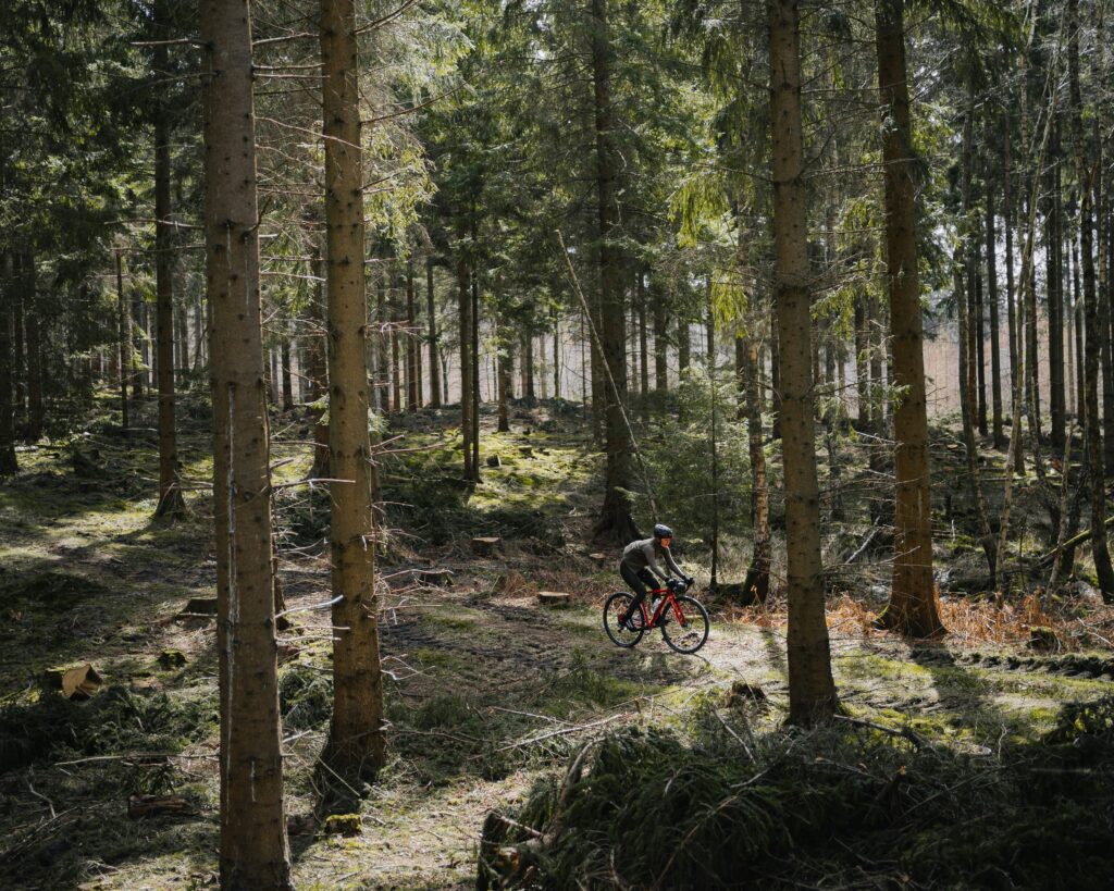 personne en vélo en forêt 