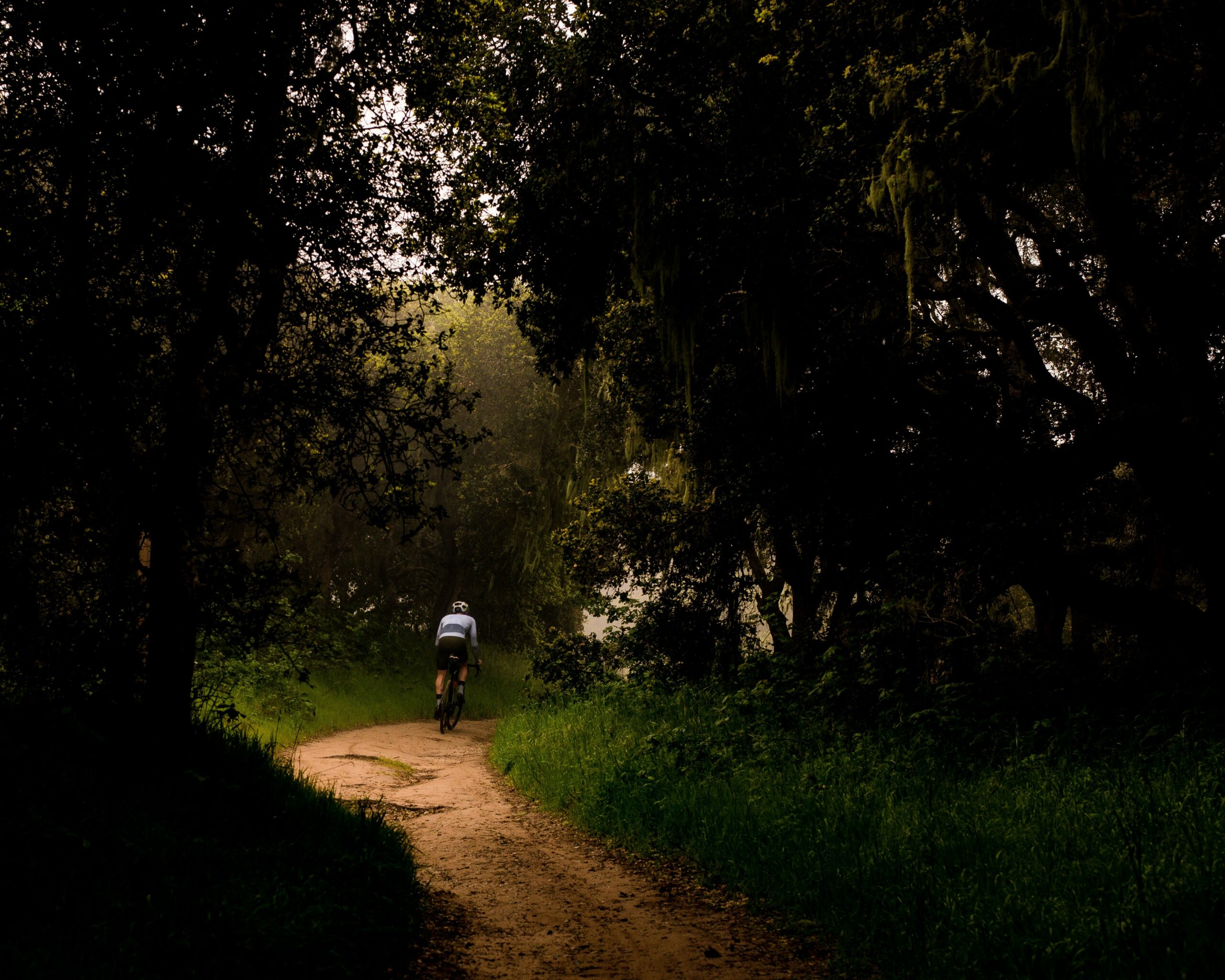 personne seule à vélo dans la forêt